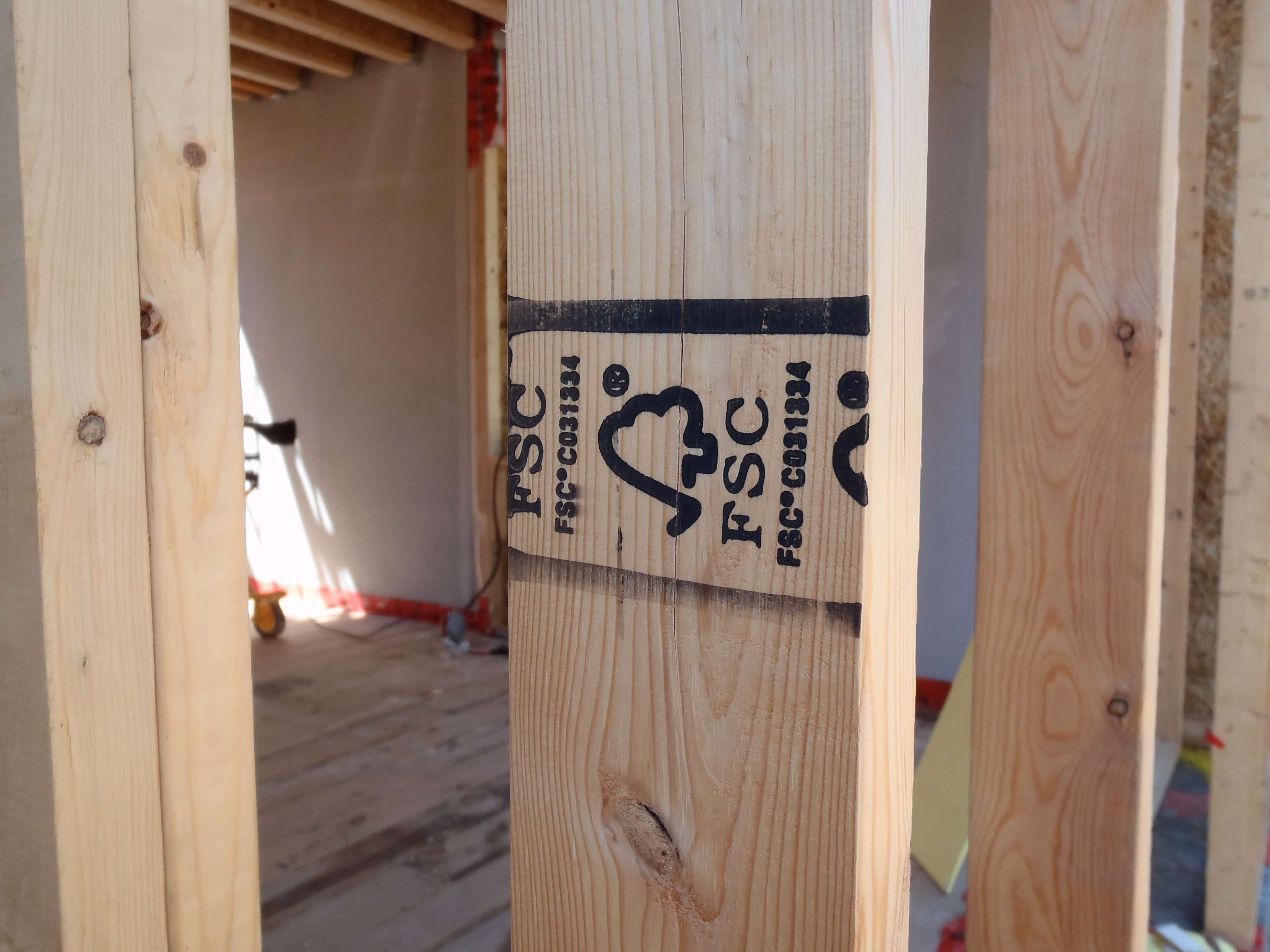 Making Sense of Lumber