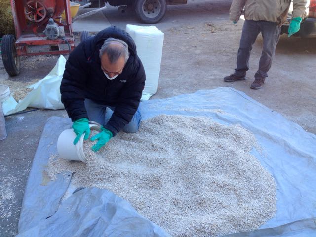hempcrete insulation