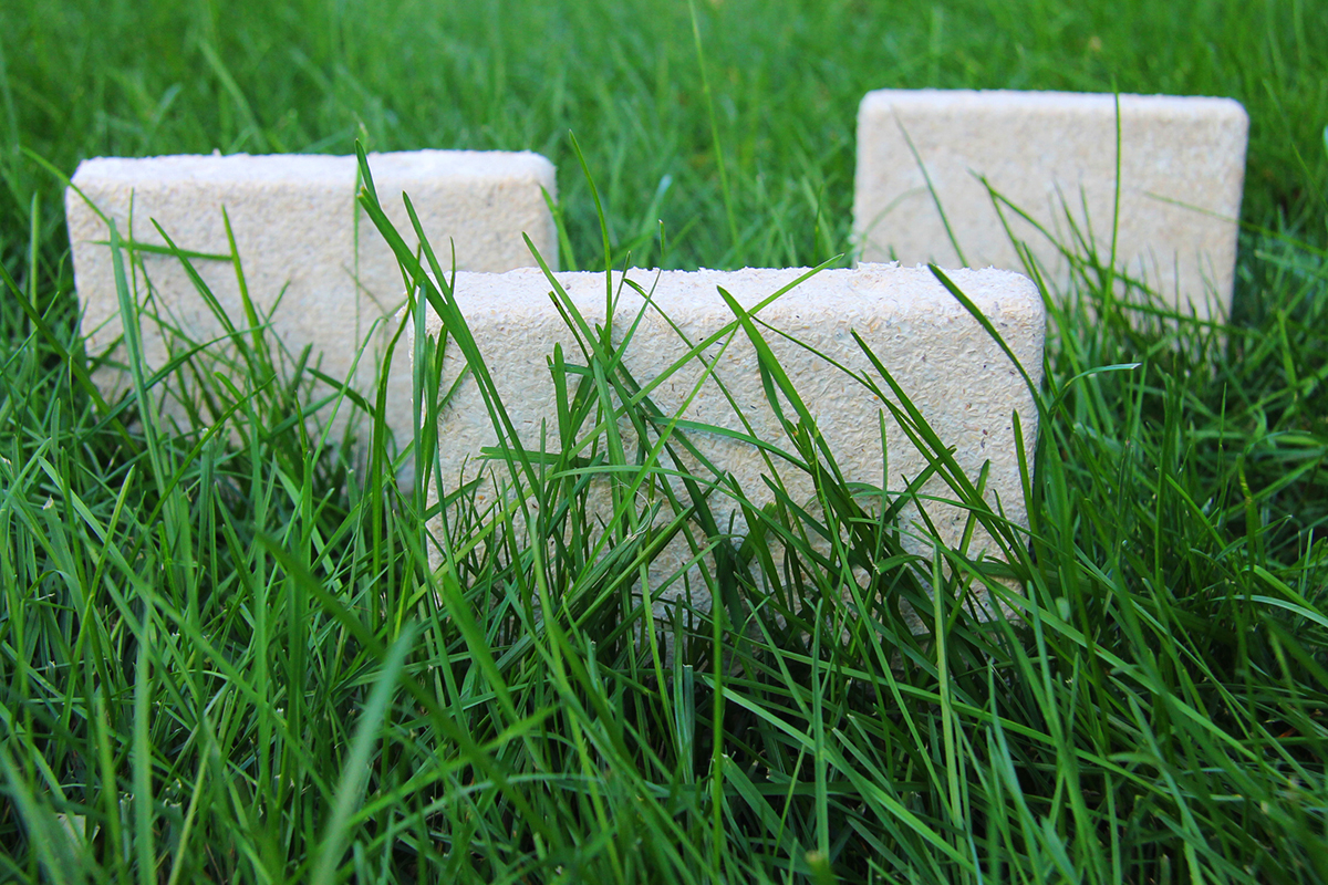 Ecovative mushroom foam