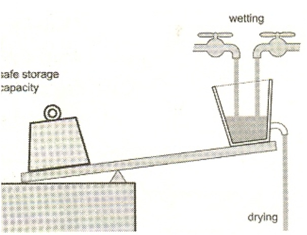 wetting:drying